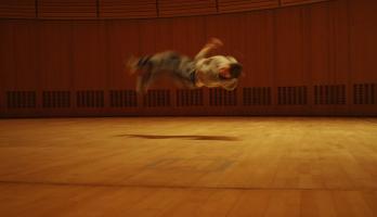 Parkour on stage at The Sage - credit Melanie Manchot