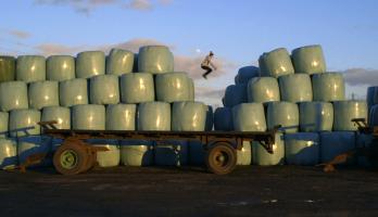 Jak from Apeuro Freerunning (still from Melanie Manchot's Tracer'